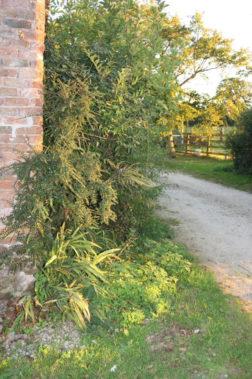 Greenway Farm Bridgwater Exterior photo