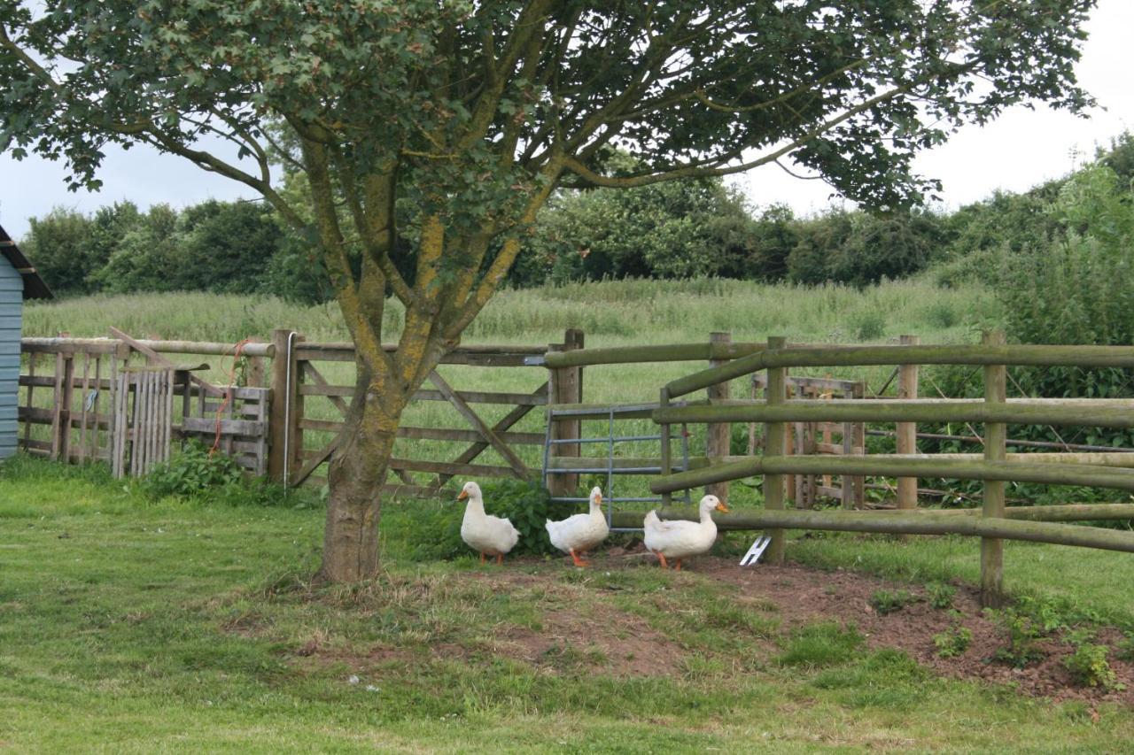 Greenway Farm Bridgwater Exterior photo